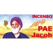 INCIENSOS DESFUMADORES | INCIENSO CONO Pai Jacob (Contiene: 20 desfumadores) (Brasil) (S)