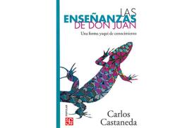 LIBROS DE CARLOS CASTANEDA | LAS ENSEÑANZAS DE DON JUAN