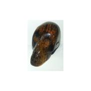 FORMA ESOTERICA | Piedra Forma Calavera Ojo Tigre 5 x 3.5 cm
