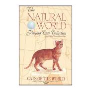 CARTAS MODIANO | Tarot Cats - Natural World (54 Pocker) (Italiano - Modiano)