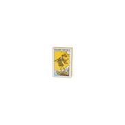 COLECCIONISTAS TAROT OTROS IDIOMAS | Tarot coleccion Rider Waite (Pocket) (EN) (AGM) Original