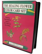 COLECCIONISTAS SET (LIBROCARTAS) OTROS IDIOMAS | Tarot coleccion The Healing Flower Color Card - Ingrid Kraaz (Set) (EN) (AGM)