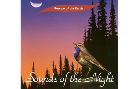 CD MUSICA | CD MUSICA SOUNDS OF THE NIGHT (PURE MUSIC NO VOICES OR MUSIC ADDED)