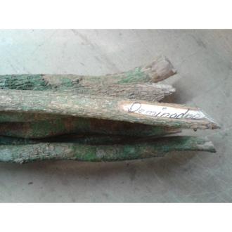 PALOS CUBANOS | PALO Dominador (Prod. Ritualizado) PALOS CUBANOS | PALO Dominador (Prod. Ritualizado)