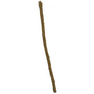 PALOS CUBANOS | PALO Pensamiento (Prod. Ritualizado) PALOS CUBANOS | PALO Pensamiento (Prod. Ritualizado)