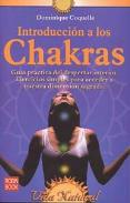 LIBROS DE CHAKRAS | INTRODUCCIN A LOS CHAKRAS