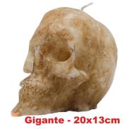 VELAS FORMA | VELA FORMA Craneo Gigante Marfil 13 cm (Natural) *